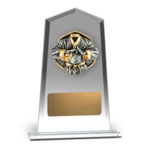 Hero Tower Glass Martial Arts