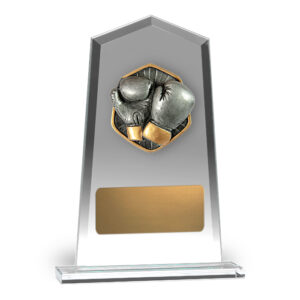 Hero Tower Glass Boxing