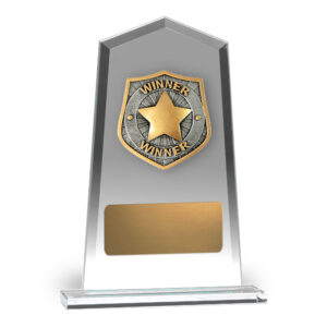 Hero Tower Glass Winner