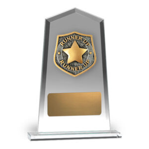 Hero Tower Glass Runner Up