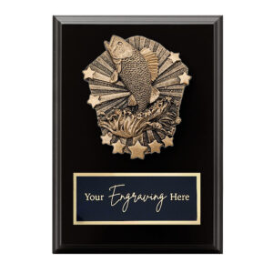 Cosmos Black Plaque Fishing