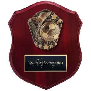 Cosmos Shield Football / Soccer Theme