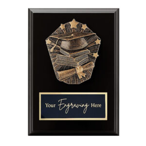 Cosmos Black Plaque Academic