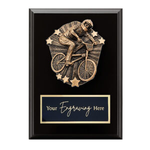Cosmos Black Plaque BMX