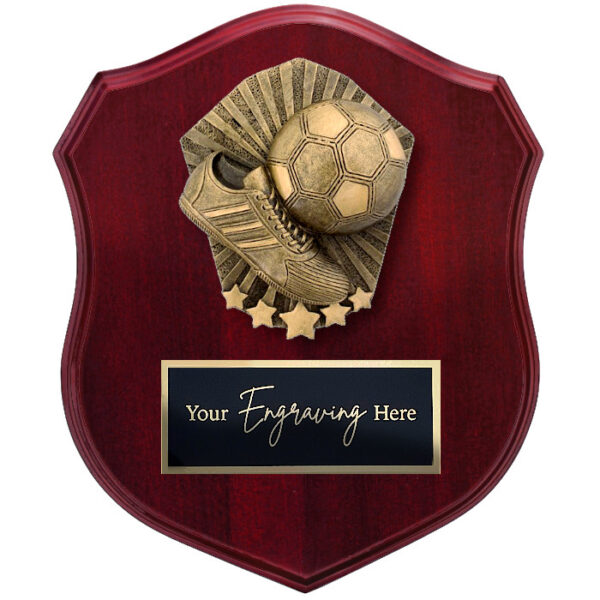 Cosmos Shield Futsal