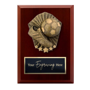 Cosmos Walnut Plaque Futsal