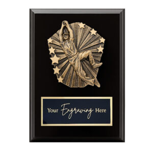 Cosmos Black Plaque Cricket Male Fielding