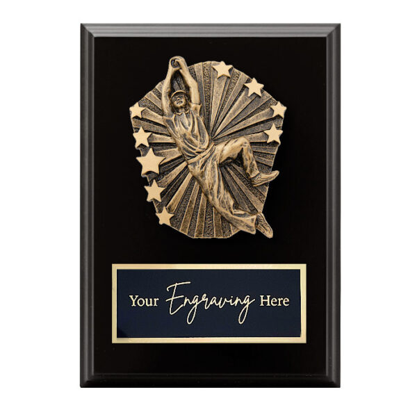 Cosmos Black Plaque Cricket Male Fielding