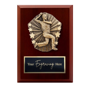 Cosmos Walnut Plaque Cricket Male Bowler