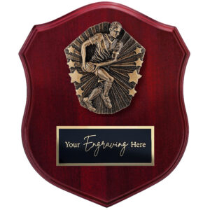 Cosmos Shield Rugby League / Union Male