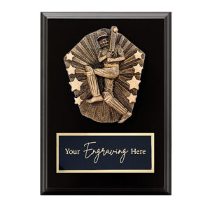Cosmos Black Plaque Cricket Male Batsman