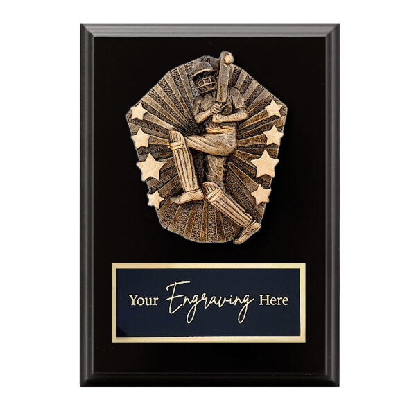Cosmos Black Plaque Cricket Male Batsman