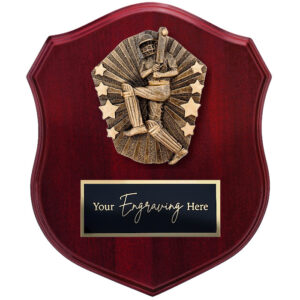 Cosmos Shield Cricket Male Batsman