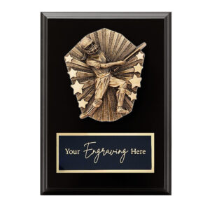 Cosmos Black Plaque Cricket Female Batting