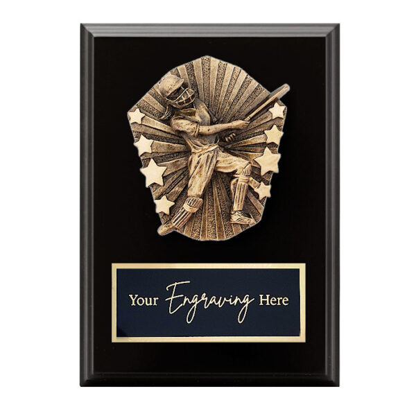 Cosmos Black Plaque Cricket Female Batting