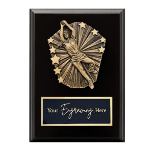 Cosmos Black Plaque Cricket Female Fielding