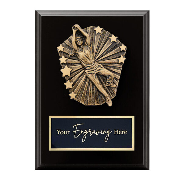 Cosmos Black Plaque Cricket Female Fielding