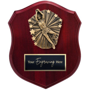 Cosmos Shield Cricket Female Fielding