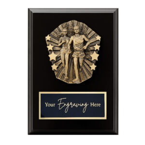 Cosmos Black Plaque Cross Country