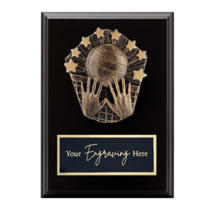Cosmos Black Plaque Volleyball