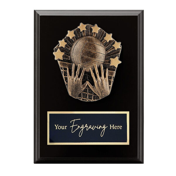 Cosmos Black Plaque Volleyball
