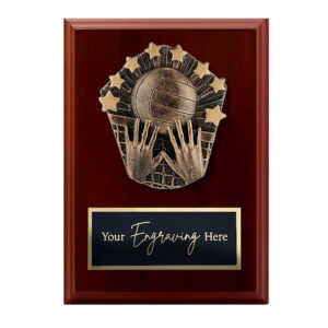 Cosmos Walnut Plaque Volleyball