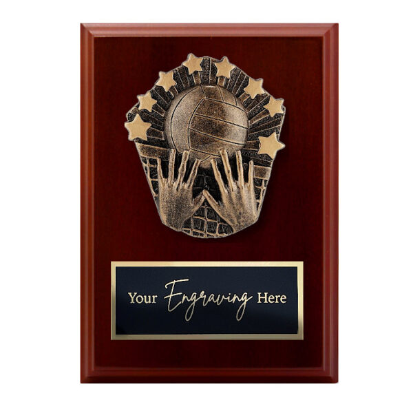Cosmos Walnut Plaque Volleyball