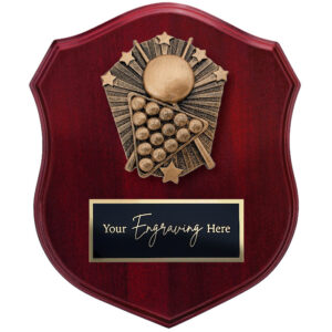 Cosmos Shield Billiards / Snooker