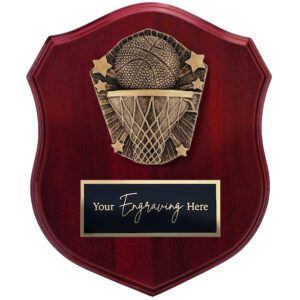 Cosmos Shield Basketball
