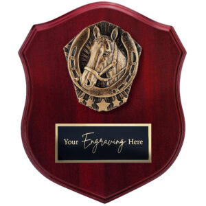 Cosmos Shield Equestrian / Horse