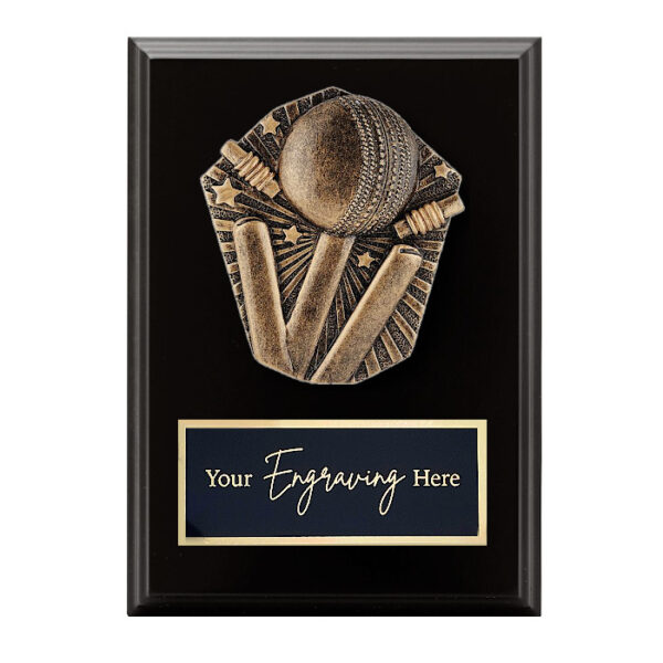 Cosmos Black Plaque Cricket Theme