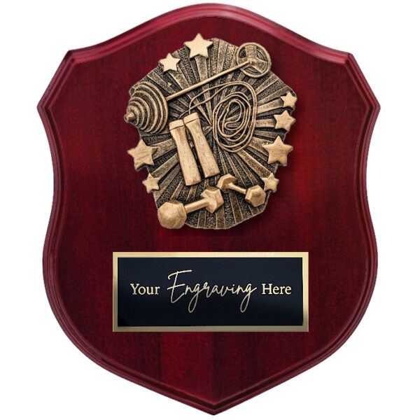 Cosmos Shield Fitness