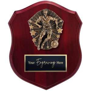 Cosmos Shield Football / Soccer Male