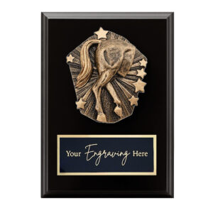 Cosmos Black Plaque Horse's Rear