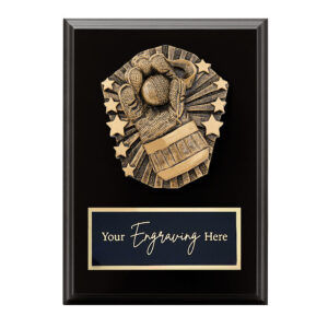 Cosmos Black Plaque Cricket Wicketkeeper