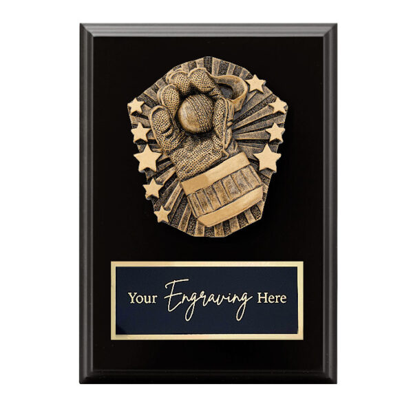 Cosmos Black Plaque Cricket Wicketkeeper
