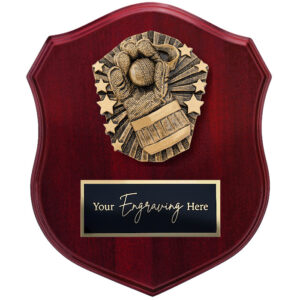 Cosmos Shield Cricket Wicketkeeper