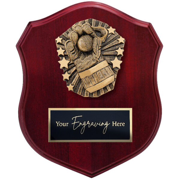 Cosmos Shield Cricket Wicketkeeper