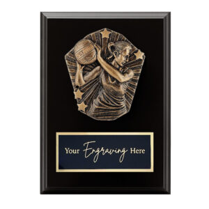 Cosmos Black Plaque Netball
