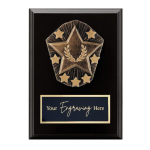Cosmos Black Plaque Star