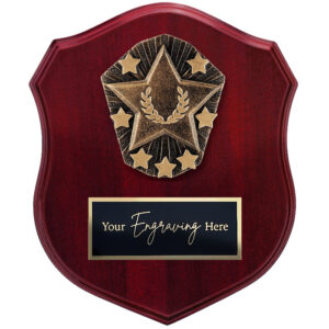 Cosmos Shield Star
