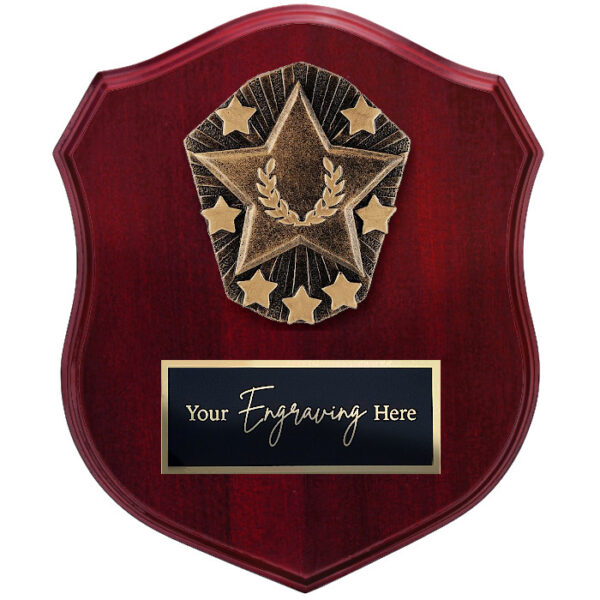 Cosmos Shield Star