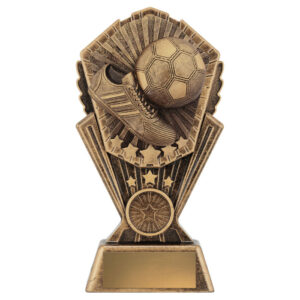 Cosmos Futsal / Indoor Soccer