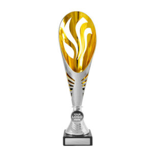 Equinox Cup Silver / Gold