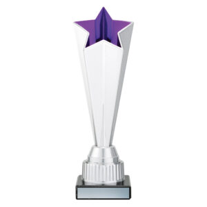Mega Stars Silver / Purple