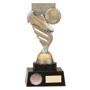 Budget Silver Logo Football