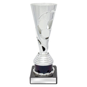Copa Football Silver / Black