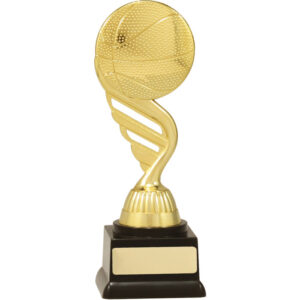 Gold Budget Basketball