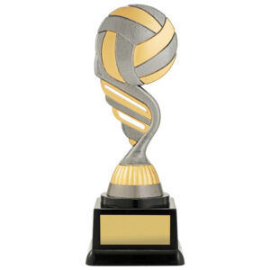 Silver Volleyball