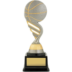 Budget Silver Basketball